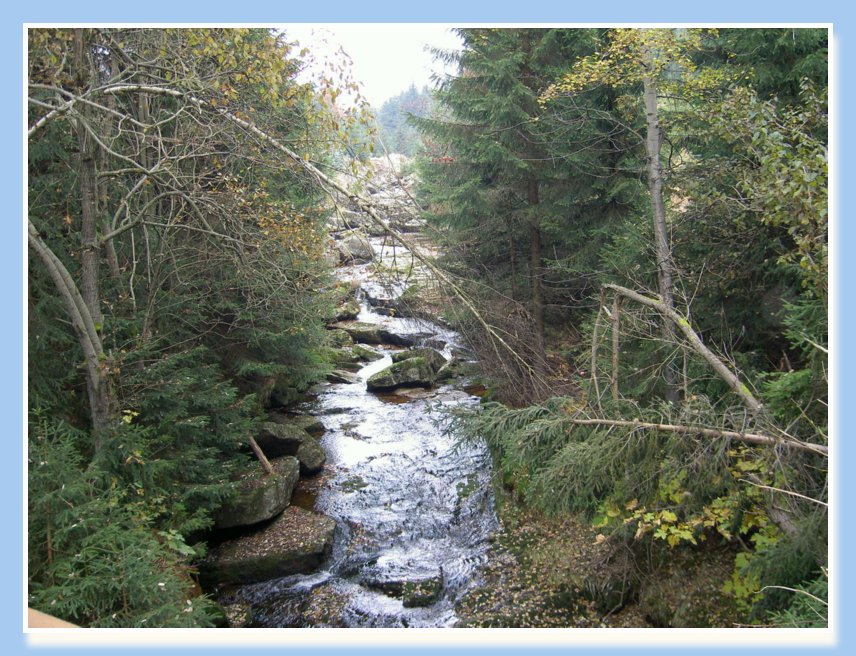 20-22.10.2006 NAROZENINY-JIZERKY 031